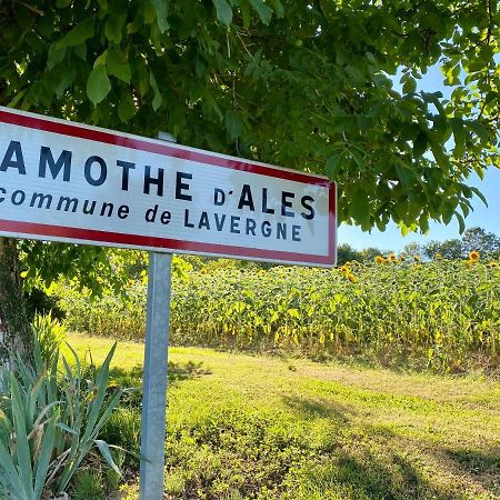 Petit gîte à Lamothe d’Alès Lavergne  Extérieur photo