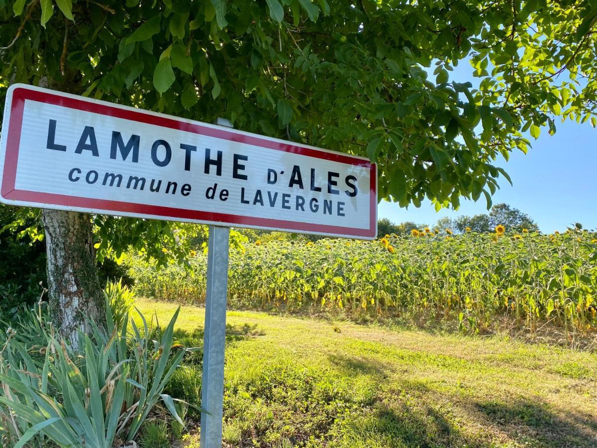Petit gîte à Lamothe d’Alès Lavergne  Extérieur photo